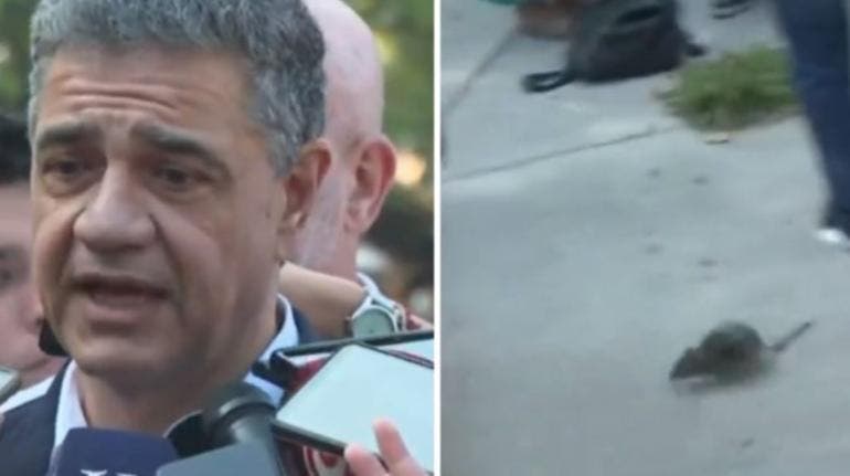 Una rata se convirtió en protagonista en una comparecencia del alcalde de Buenos Aires