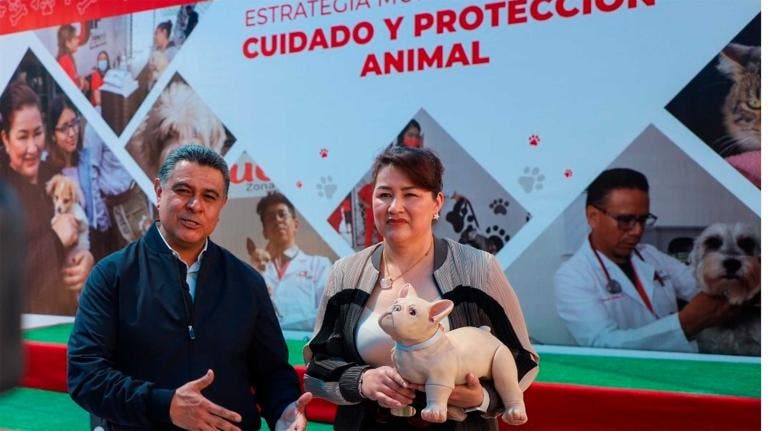 Tlalnepantla cuidado animal