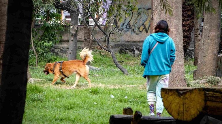 Bosque Nativitas asesino perros Xochimilco