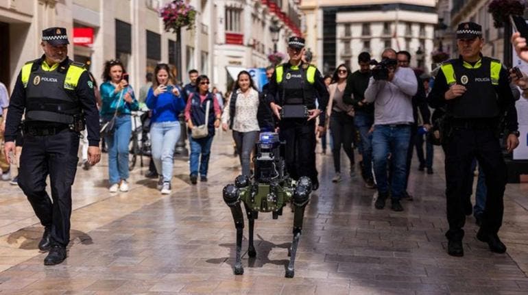 perro robot Malaga