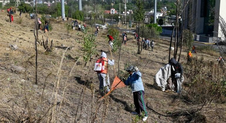 Previenen incendios 