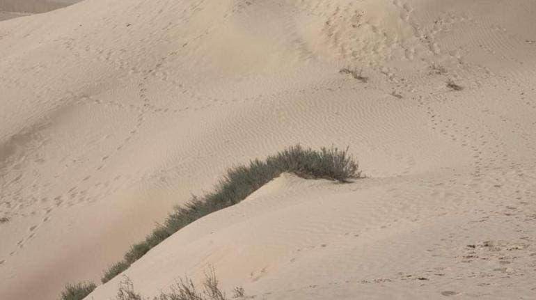 dunas Samalayuca migrantes