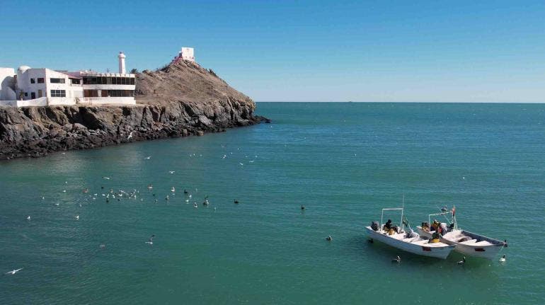 Golfo California vaquita marina Semarnat