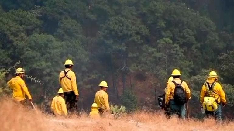 Incendio forestal
