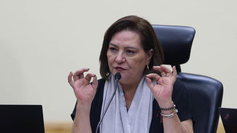 INE Guadalupe Taddei OEA