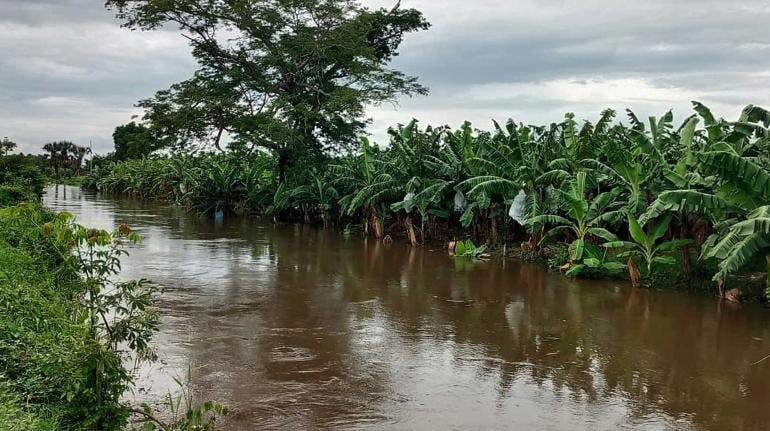 Agricultura en Chiapas