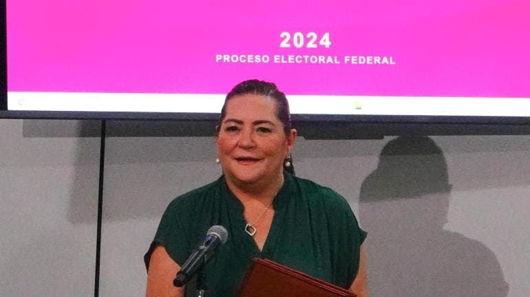 INE no fraude Guadalupe Taddei