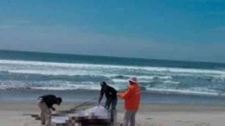 naufragio Oaxaca migrantes tres muertos