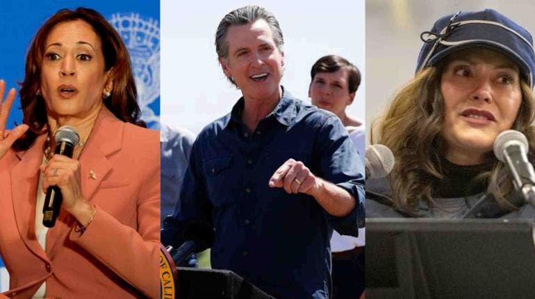 ¿Quién podría sustituir a Biden como candidato demócrata?