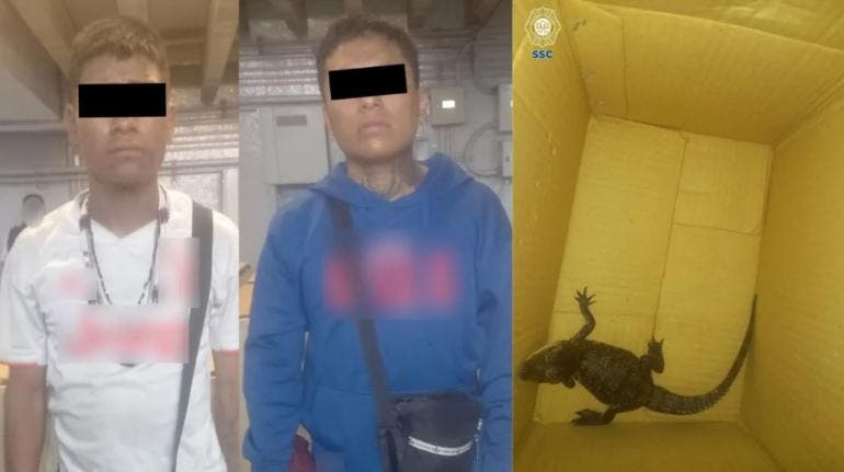 Metro Guerrero caiman SSC