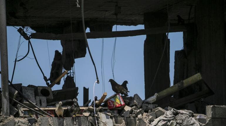 palestinos mueren bombardeo israeli ONU escuela