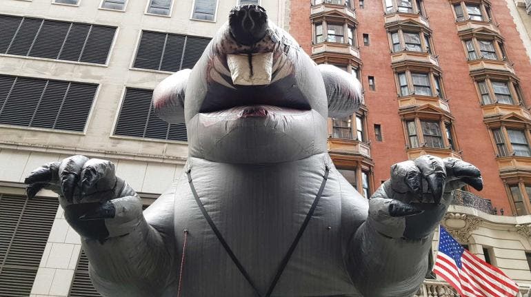 Ratas Nueva York