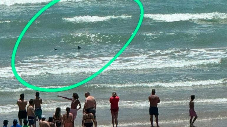Ataque de tiburón en la Isla del Padre