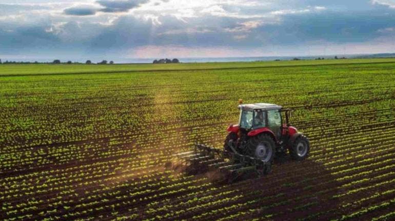Crece producción agropecuaria y pesquera un 4.7% entre 2018 y 2023