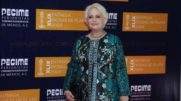 Apoyos al cine