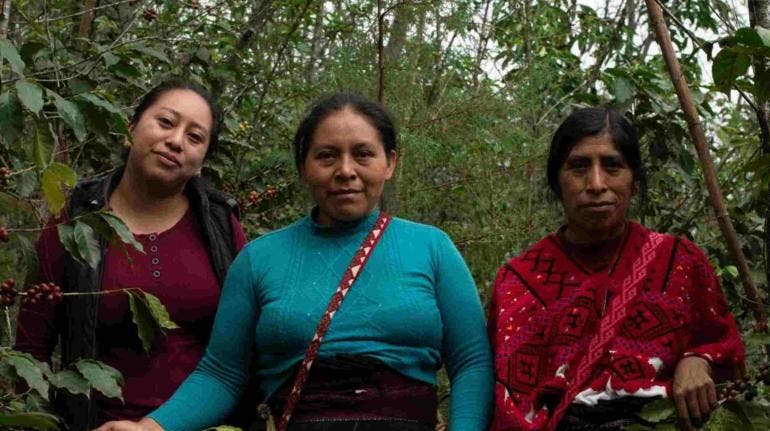 Cerca de dos mil millones de mujeres y niñas en el mundo no cuentan con protección social