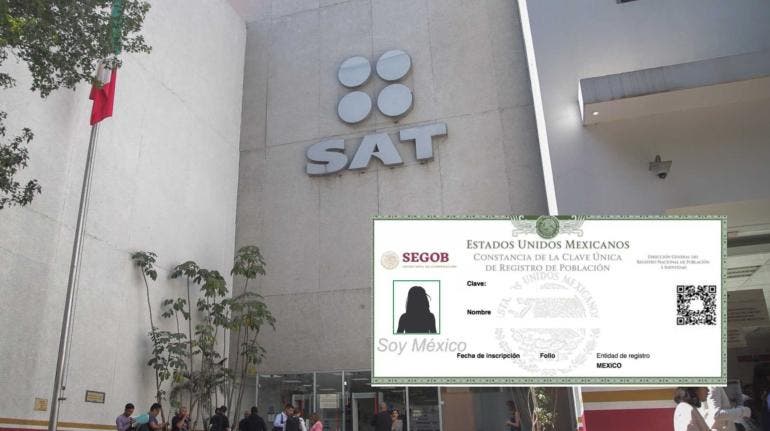 ¡Adiós CURP! A partir de octubre, el SAT simplifica trámites y elimina requisitos