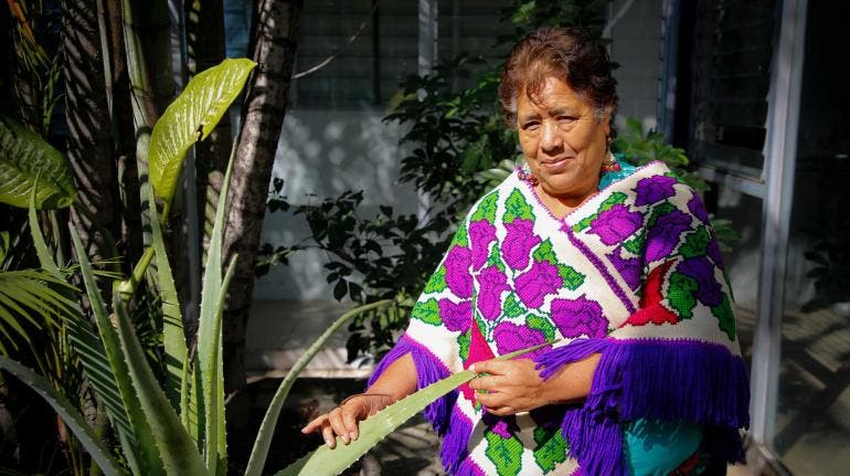 hospitales obstaculizan medicina indigenas