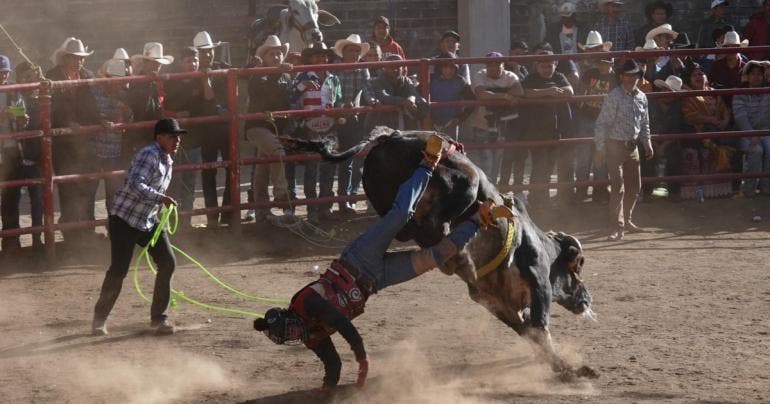 IECM verifica firmas prohibicion shows animales