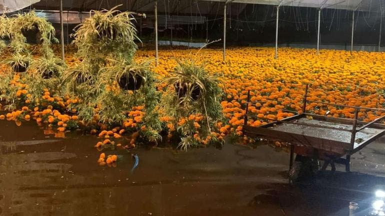 inundaciones lluvias Milpa Alta Xochimilco Clara Brugada