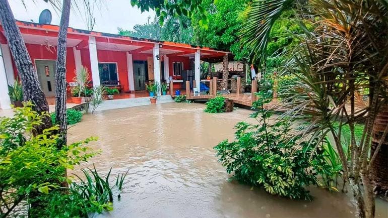 Desborde de ríos e inundaciones por 'Nadine' en Veracruz (@CorresponsalsMX)