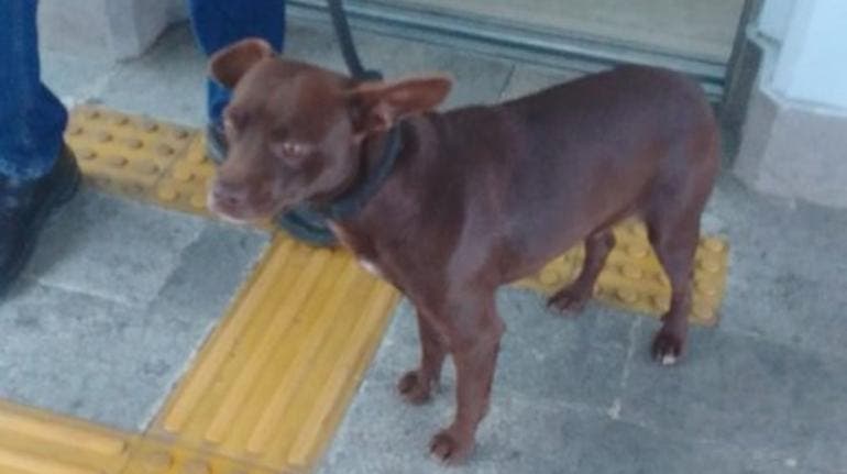 Imagen tomada de X: @MetroCDMX