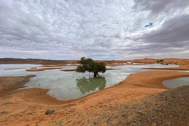 Inundaciones en el desierto de Marruecos resucitan un lago seco desde hace 50 años (EFE)
