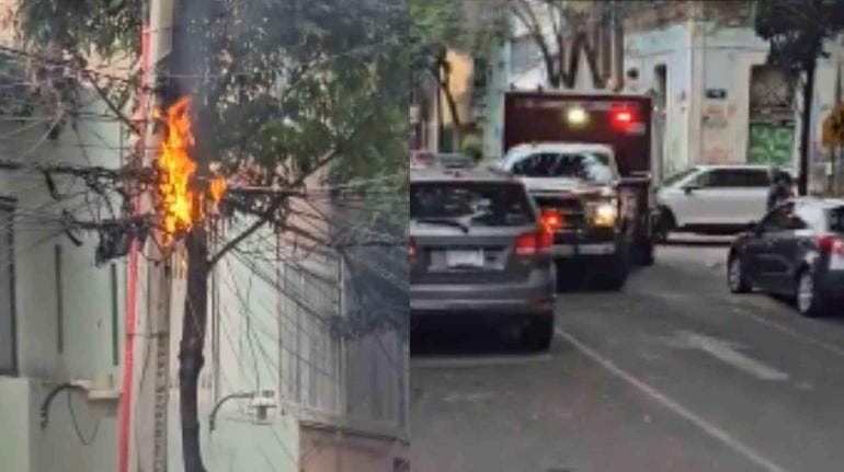 (video) Ardilla muere electrocutada y desata incendio en San Pedro de los Pinos, BJ