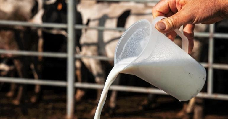 California suspende distribución de leche cruda de su mayor productor por gripe aviar
