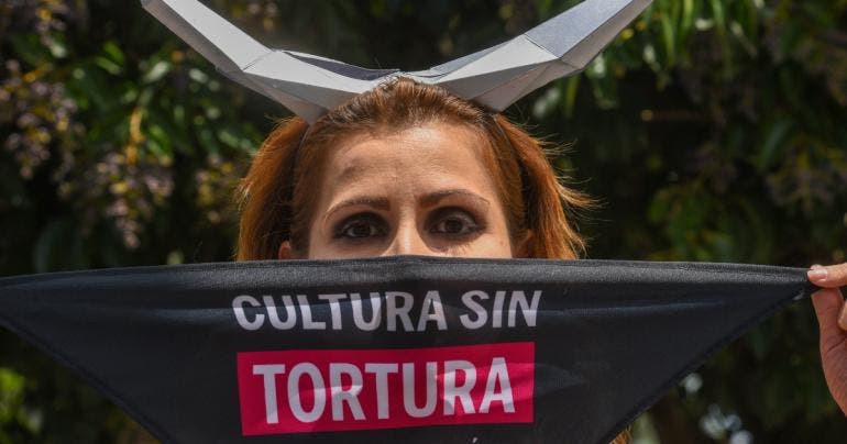 corridas sin sangre Simon Casas