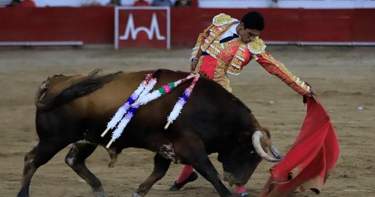 Tribunal elimina prohibición de corridas de toros en Guadalajara