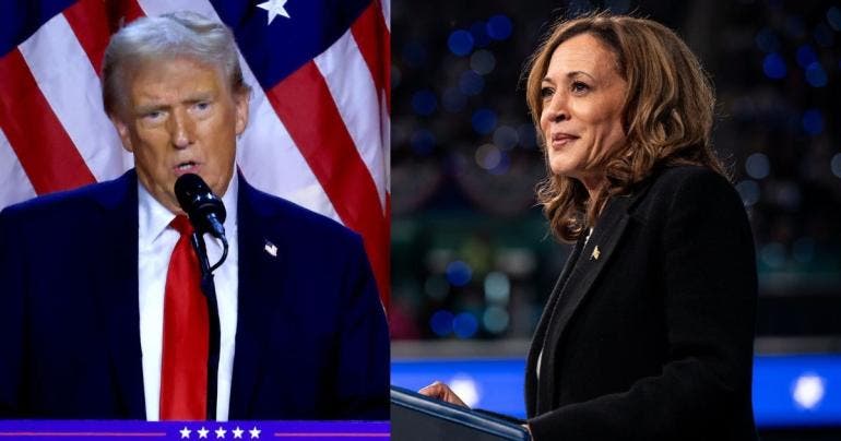 Victoria de Trump o Harris es irrelevante para desarrollo de la guerra: Hezbollah