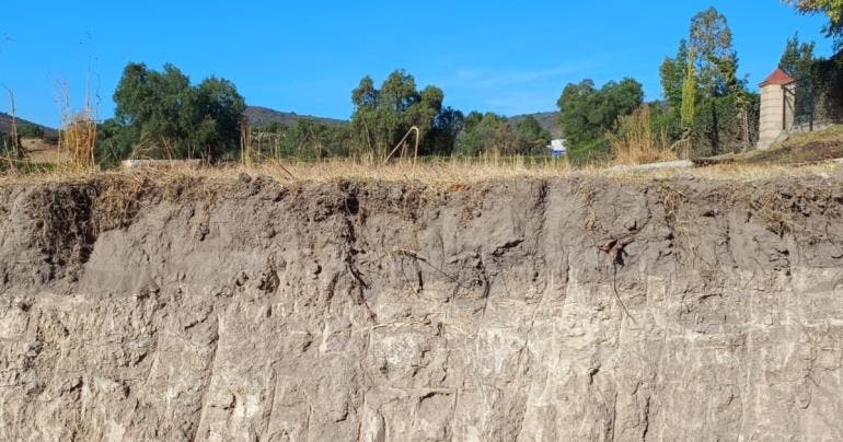 Chapingo Mexico riesgo alimentario