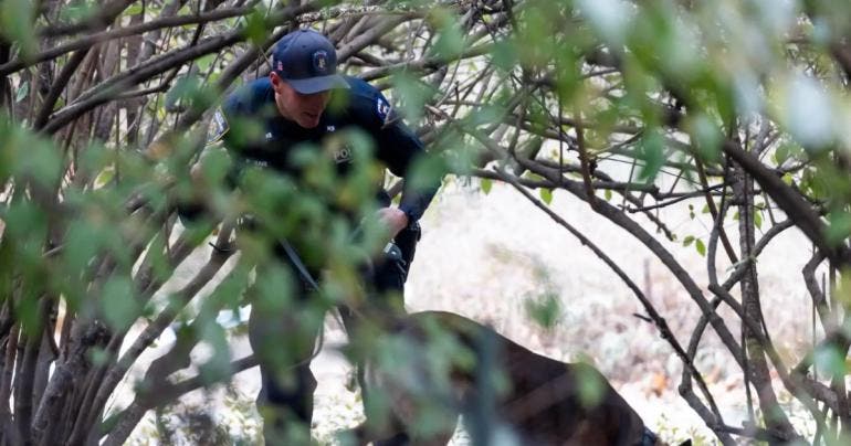detienen sospechoso asesinar Brian Thompson