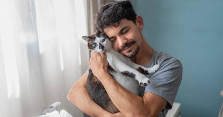 Mujer en la India demanda a su esposo por prestar más atención a su gato que a ella