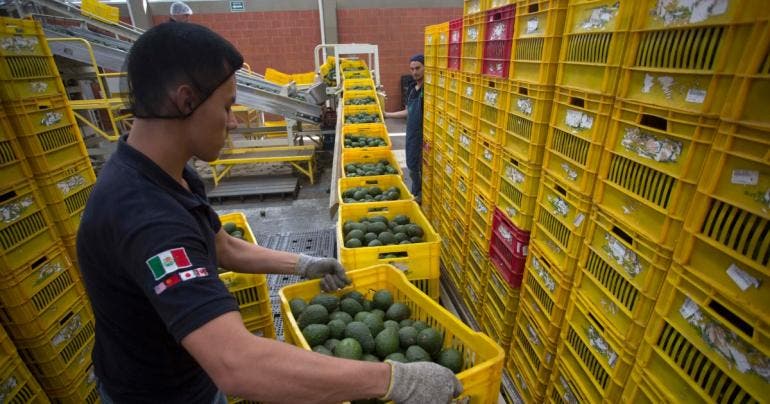 Apeam exportacion aguacate Super Bowl LIX