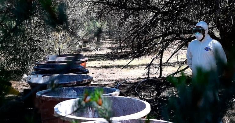 Semar desmantela narcolaboratorios Sinaloa