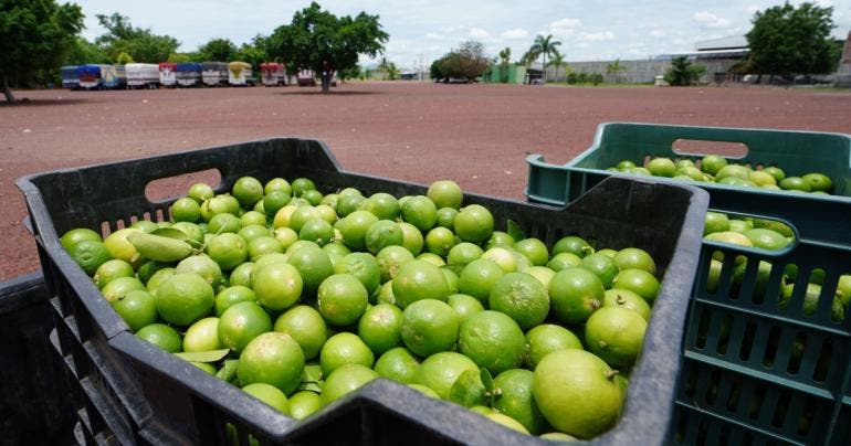 cierran oficinas Tianguis Limonero Apatzingan