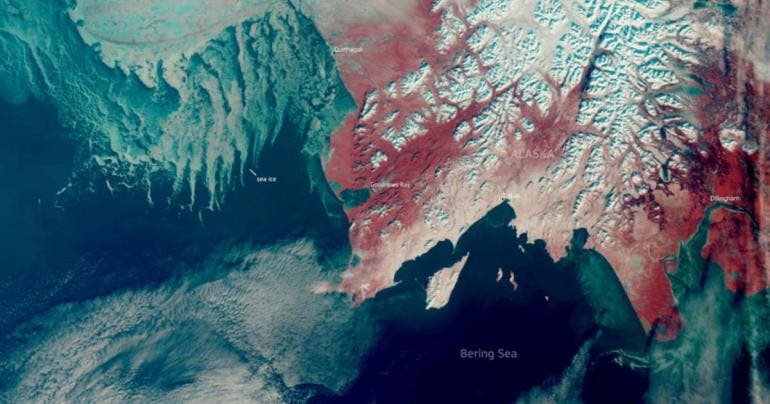 El hielo marino en el Ártico y la Antártida alcanzará mínimos históricos este año