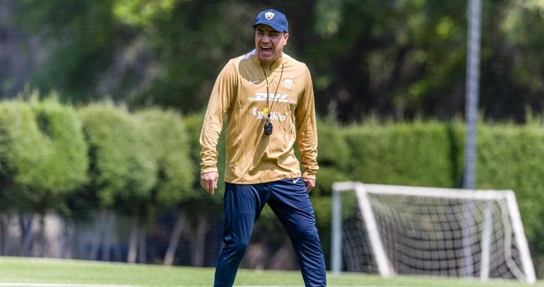 Pumas