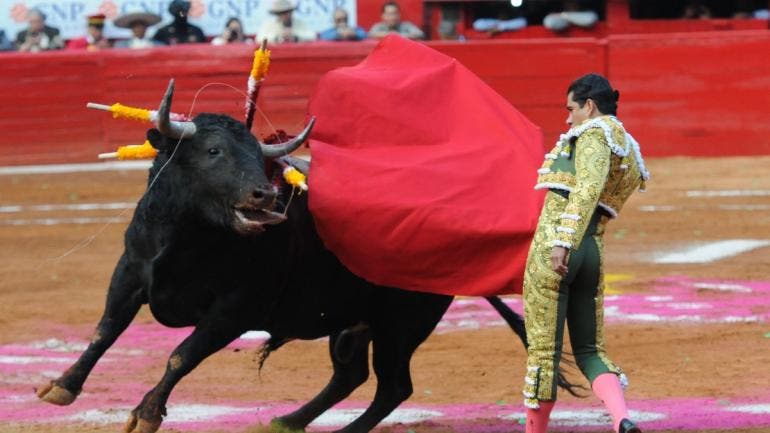 publican decreto prohibir corridas toros