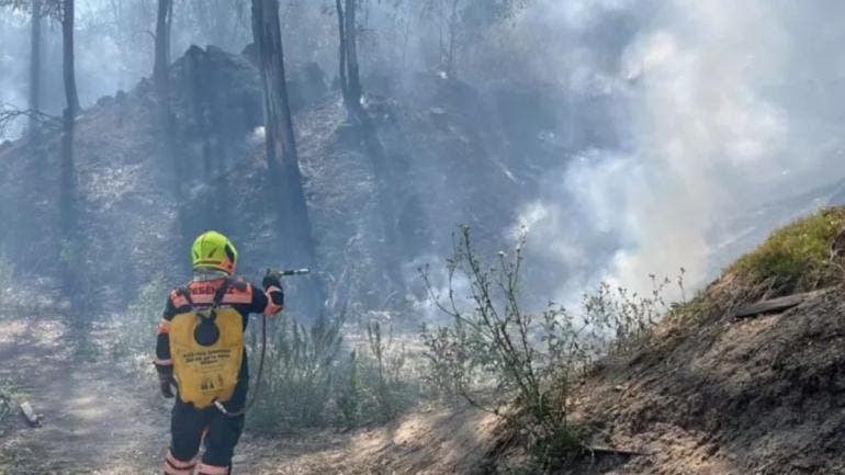 incendio Tercera Seccion Bosque Chapultepec