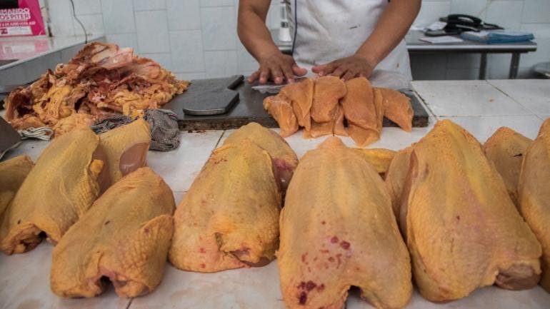 sin riesgo contagio gripe aviar comer pollo huevo dice Ssa