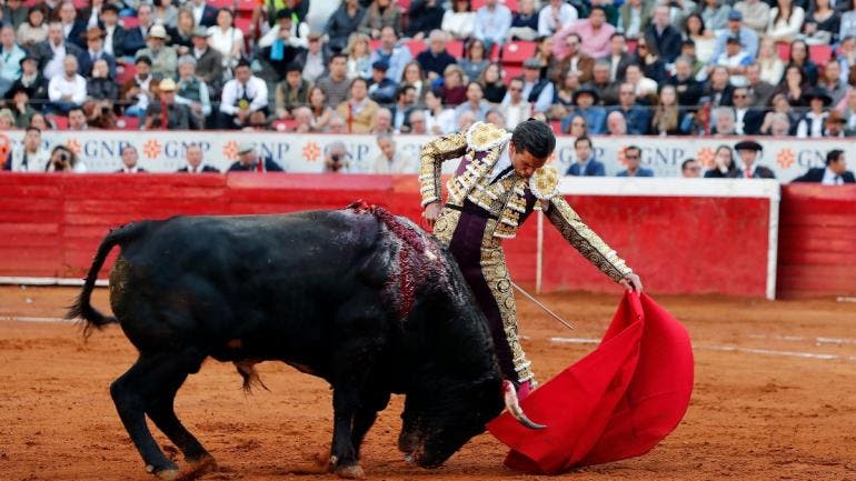 toreros buscan amparo prohibicion corridas toros con sangre