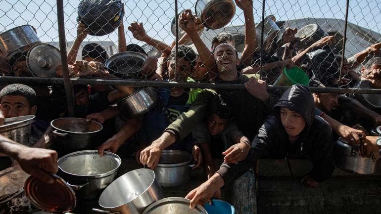 Gaza comida