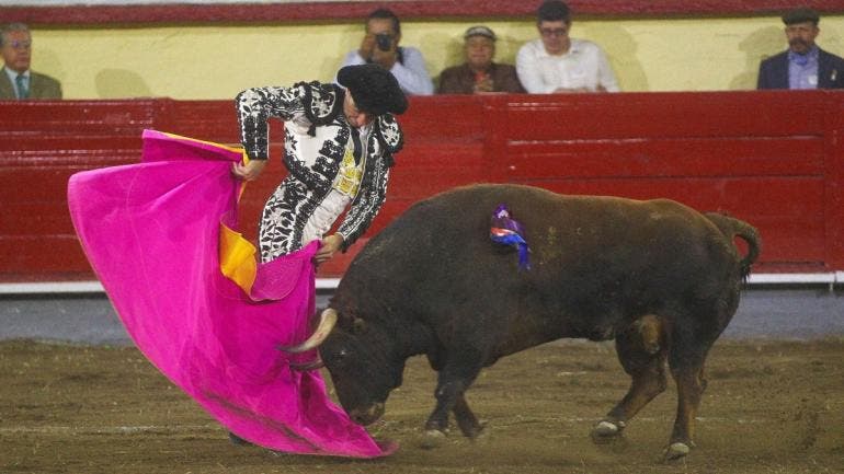 plaza toros Mexico ve inviable corridas sin sangre