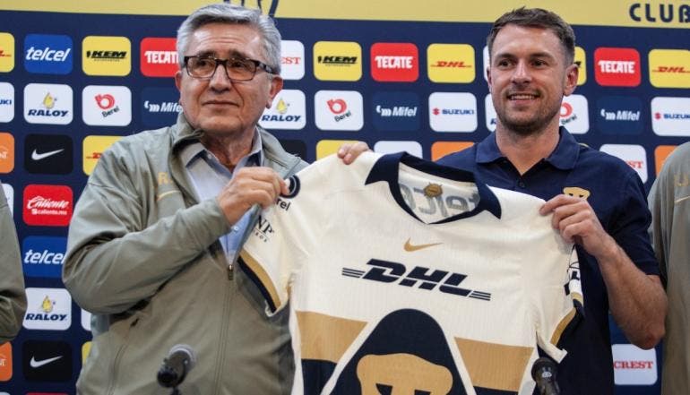Pumas