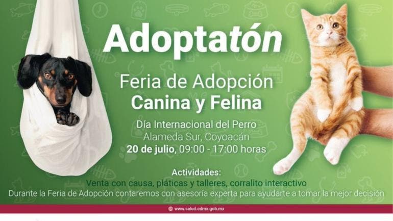 realizaran CDMX Adoptaton Alameda Sur