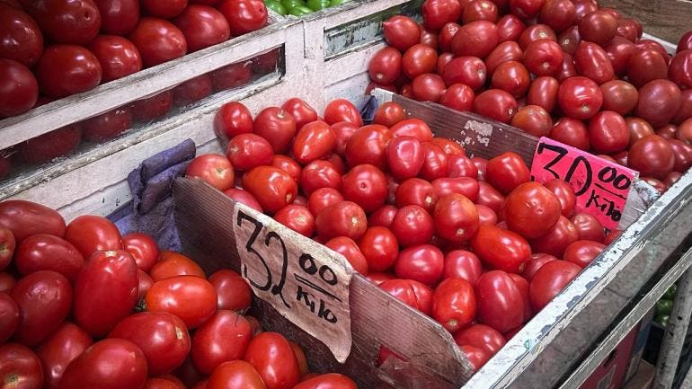 rechaza Sader Economia arancel 17 por ciento jitomate