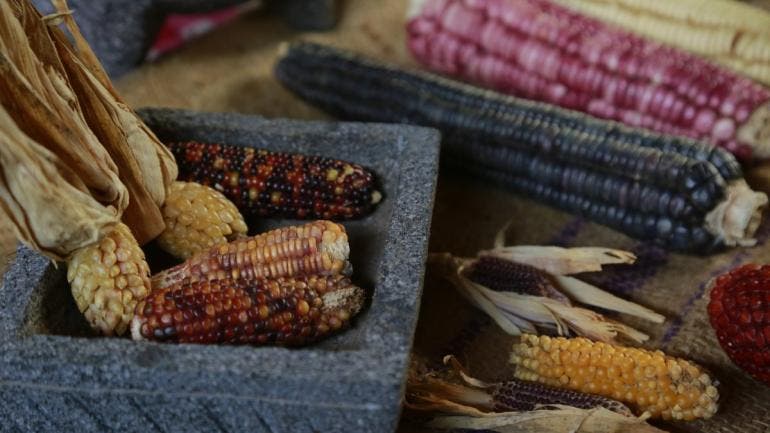 aranceles EU catastrofe alimentaria UNTA